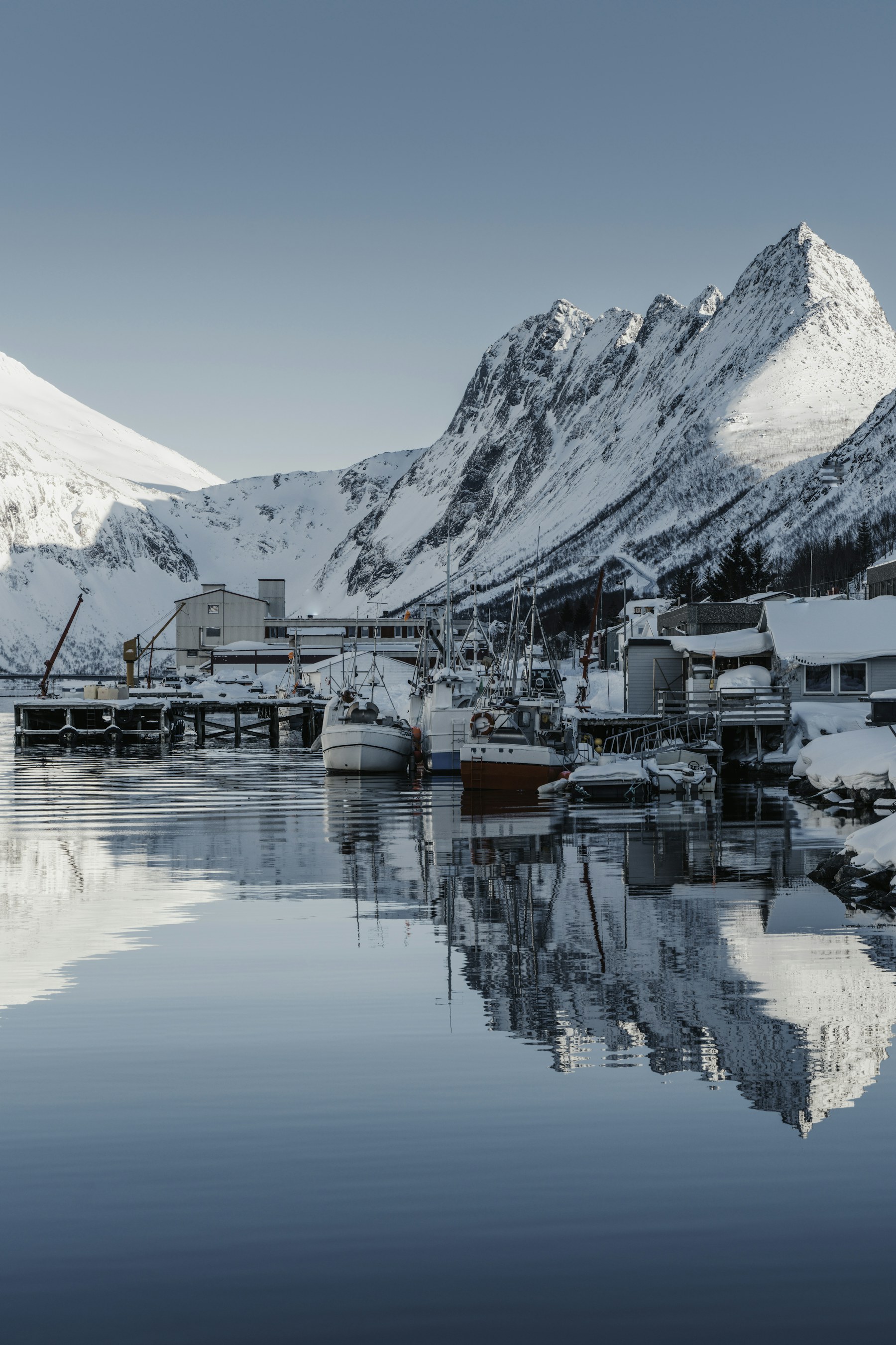 Norwegian harbour with fishing boats and steep snowy mountains